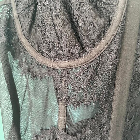 NWT Cami NYC Riona Lace Mesh Corset Bodysuit in Black Sz 4 - Picture 3 of 7